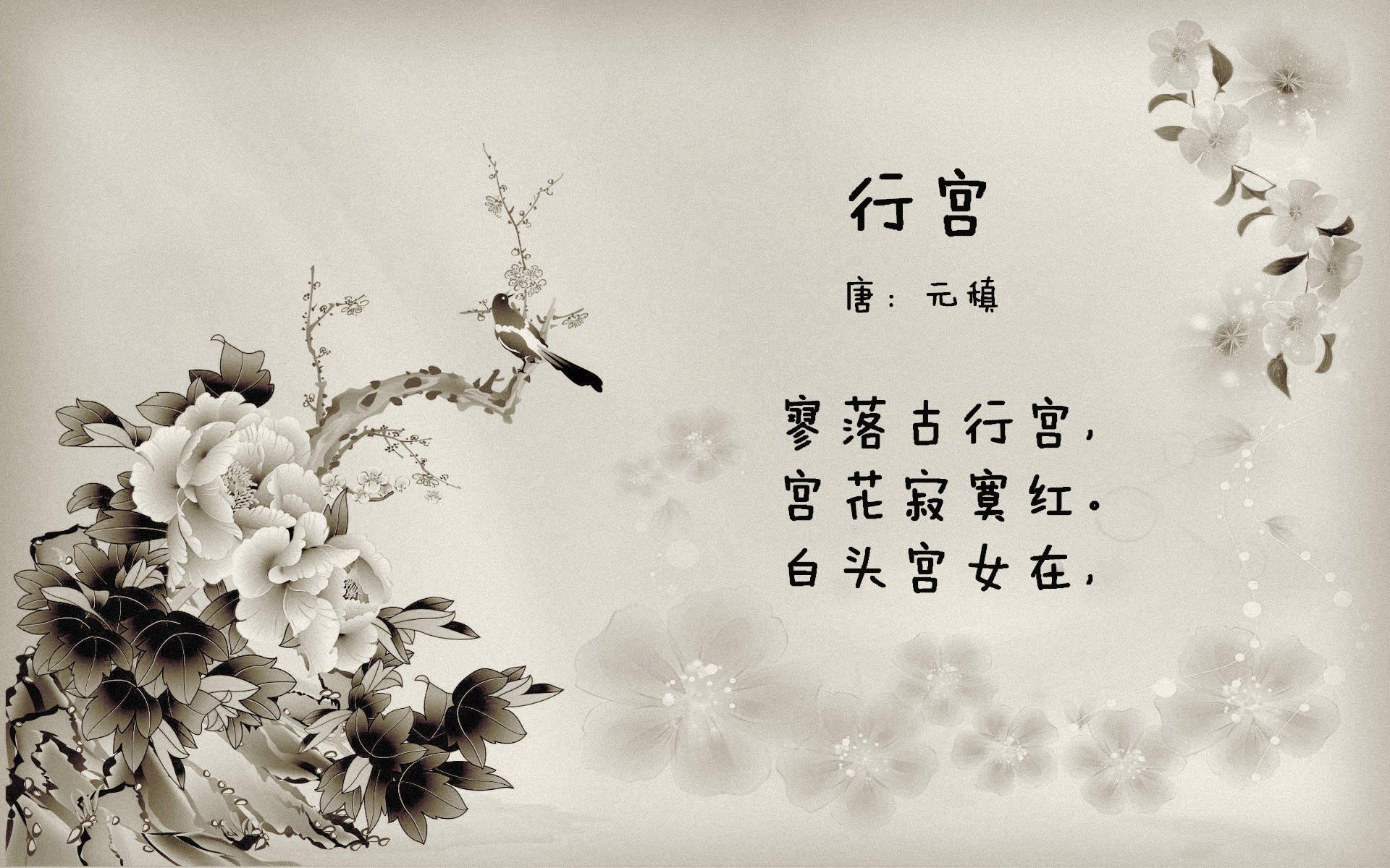 _趣味轮滑比赛：滑出你的青春记忆_，轮滑趣味赛活动主题