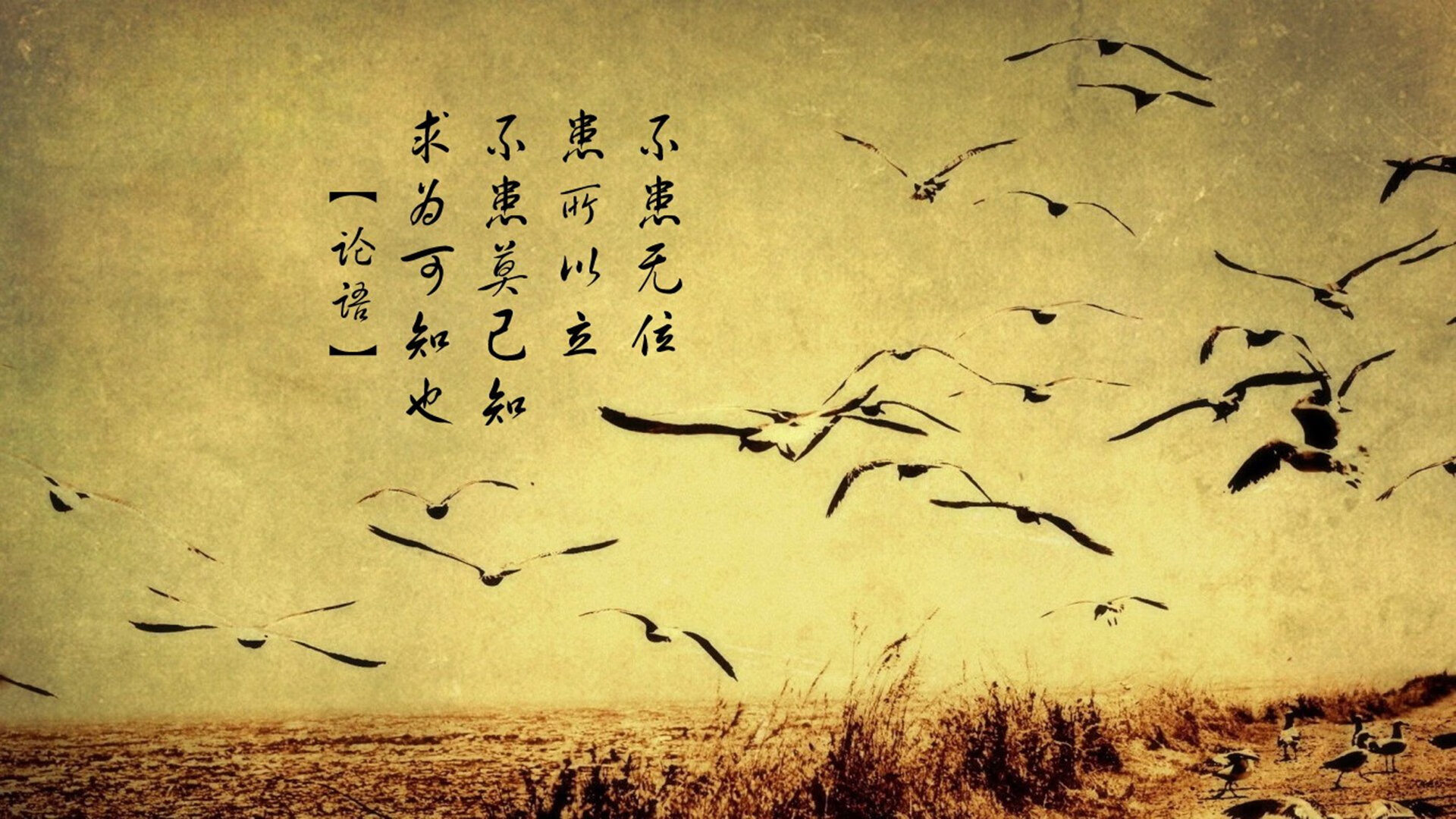 kaiyun.com-《每日镜报》：荷兰女足在预选赛中与德国队激战，荷兰女足德国女足