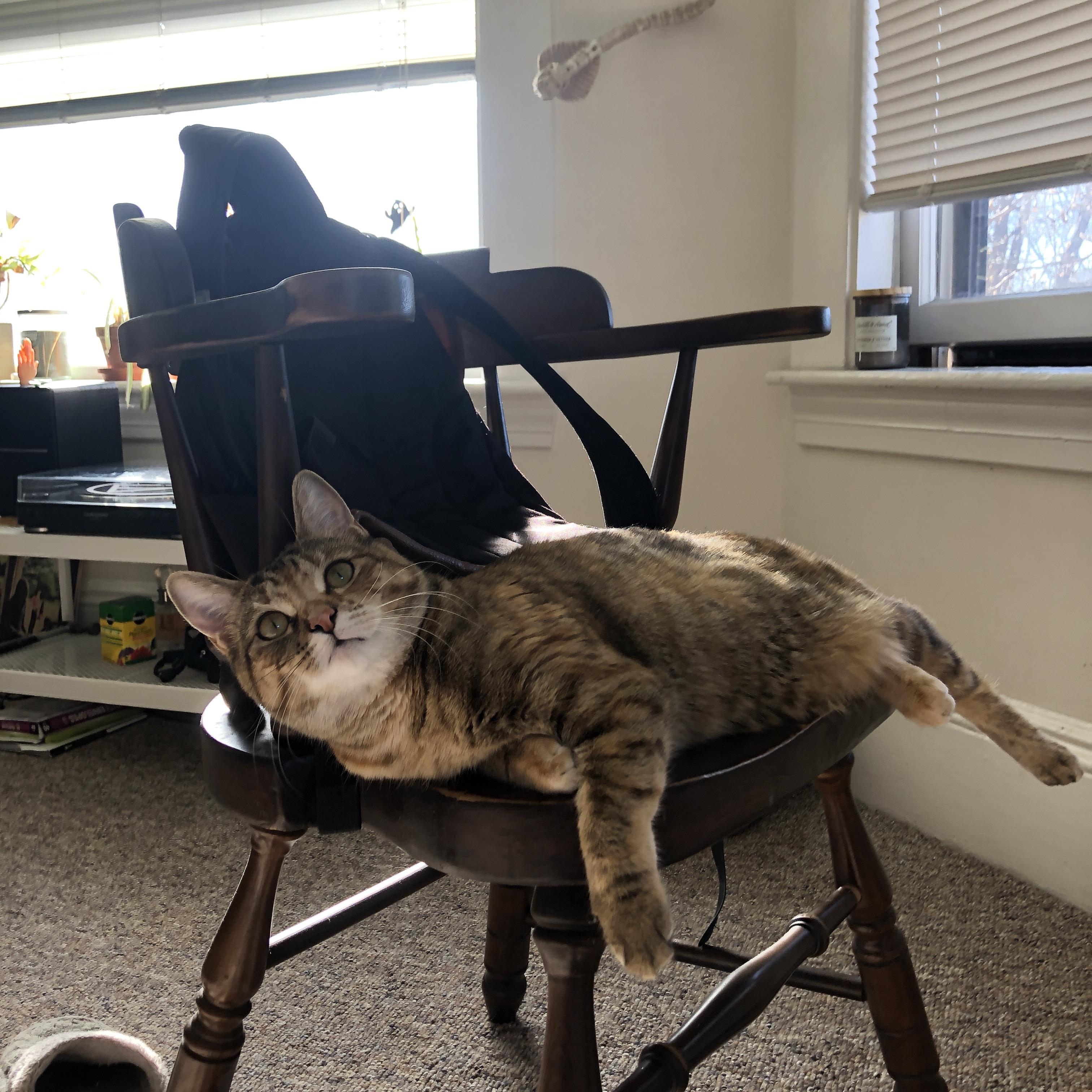 Kaiyun官方登录入口-《电竞明星转型：从选手到解说再到教练的多路发展》，电竞名星